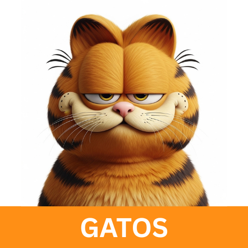 Gatos